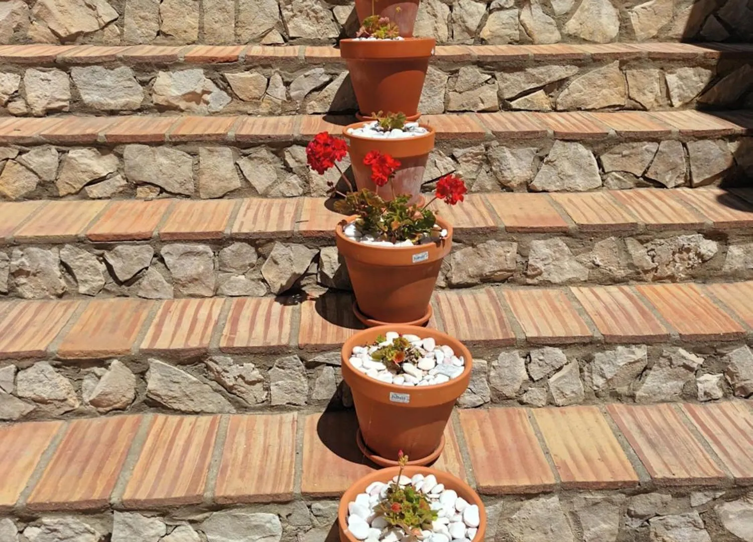 B&B Quinta Da Romazeira Sao Bartolomeu de Messines Bed & Breakfast